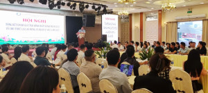 NGHỊ QUYẾT MỚI VỀ CẮT GIẢM, ĐƠN GIẢN HÓA THỦ TỤC HÀNH CHÍNH...