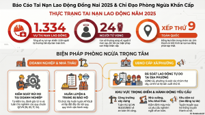 Mô tả hình ảnh: Một biểu đồ cột thể hiện số liệu 1.334 vụ tai nạn lao động và 24 người tử vong, với tông màu đỏ cảnh báo. Phía trên góc có logo của tỉnh Đồng Nai