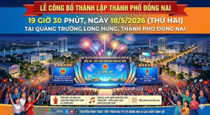 Bài viết 66