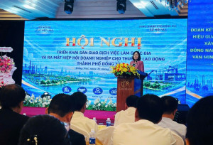 TRIỂN KHAI SÀN GIAO DỊCH VIỆC LÀM QUỐC GIA  VÀ RA MẮT HIỆP HỘI DOANH NGHIỆP CHO THUÊ LẠI  LAO ĐỘNG THÀNH PHỐ ĐỒNG NAI
