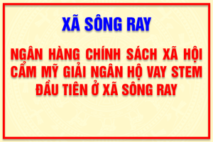 NGÂN HÀNG CHÍNH SÁCH XÃ HỘI CẨM MỸ GIẢI NGÂN HỘ VAY STEM ĐẦU TIÊN Ở XÃ SÔNG RAY