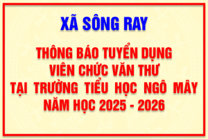 THÔNG BÁO TUYỂN DỤNG VIÊN CHỨC VĂN THƯ TẠI TRƯỜNG TIỂU HỌC NGÔ MÂY NĂM HỌC 2025 - 2026