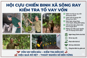 HỘI CỰU CHIẾN BINH XÃ SÔNG RAY KIỂM TRA TỔ VAY VỐN