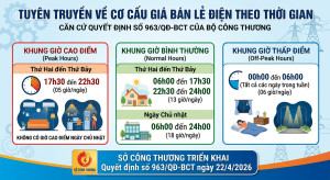 NGƯỜI DÂN XÃ SÔNG RAY CHUNG TAY SỬ DỤNG ĐIỆN TIẾT KIỆM THEO KHUNG GIỜ MỚI