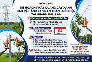 [THÔNG BÁO] KẾ HOẠCH PHÁT QUANG CÂY XANH BẢO VỆ HÀNH LANG AN TOÀN LƯỚI ĐIỆN TẠI NHÁNH BÀU LÂM