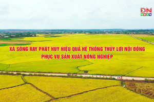 SÔNG RAY PHÁT HUY HIỆU QUẢ HỆ THỐNG THỦY LỢI NỘI ĐỒNG PHỤC VỤ SẢN XUẤT NÔNG NGHIỆP
