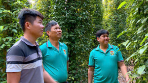 HỘI NÔNG DÂN XÃ SÔNG RAY KIỂM TRA VỐN VAY VÀ ĐỐI CHIẾU DƯ NỢ NGÂN HÀNG CHÍNH SÁCH XÃ HỘI