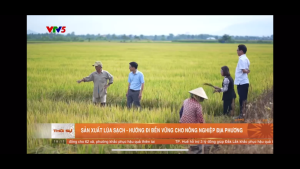 MÔ HÌNH SẢN XUẤT LÚA SẠCH Ở XÃ SÔNG RAY - HƯỚNG ĐI BỀN VỮNG CHO NÔNG NGHIỆP ĐỊA PHƯƠNG.