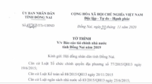 Báo cáo tài chính nhà nước tỉnh Đồng Nai năm 2019