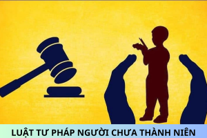 TRỢ GIÚP PHÁP LÝ CHO NGƯỜI CHƯA THÀNH NIÊN