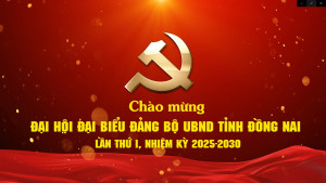Tuyên truyền cổ động Đại hội đại biểu Đảng bộ tỉnh lần thứ I, nhiệm kỳ 2025-2030