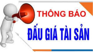 tb đấu giá