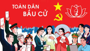 bầu cử