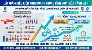 CẮT GIẢM ĐIỀU KIỆN KINH DOANH THUỘC PHẠM VI QUẢN LÝ BỘ TƯ PHÁP TRONG LĨNH VỰC THỪA HÀNH VIÊN