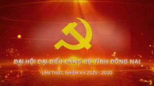 Đại hội đại biểu Đảng bộ tỉnh Đồng Nai lần thứ I, nhiệm kỳ 2025-2030