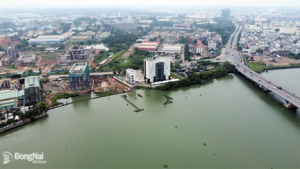 Đồng Nai đề xuất quy hoạch hệ thống đường sắt đô thị