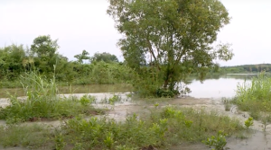 Thực hiện Dự án gia cố tạm, chống sạt lở cấp bách bờ sông La Nga(bờ phải) khu vực ấp 4 xã Phú Điền huyện Tân Phú tỉnh Đồng Nai