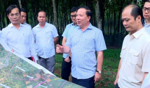 Đồng Nai phê duyệt thiết kế xây dựng triển khai sau thiết kế cơ sở hạng mục đường gom, đường bên thuộc Dự án thành phần 1-2 Vành đai 4 TP.HCM