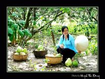 Buoi Tan Trieu3