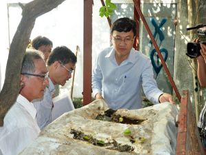 Tăng cường giám sát trong phòng chống sốt xuất huyết