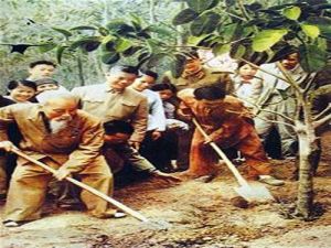 “TẾT TRỒNG CÂY” Của BÁC HỒ