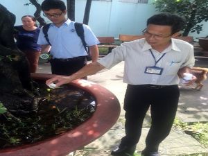 Phát hiện lăng quăng trong các vật dụng chứa nước