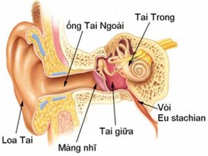 Bệnh viêm tai giữa ở trẻ em