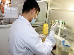 Những đơn vị nào thực hiện xét nghiệm SARS-CoV-2 tại Đồng Nai?