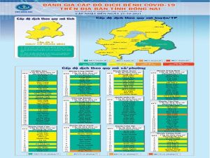 Dịch COVID-19 tại Đồng Nai được đánh giá ở cấp độ 2