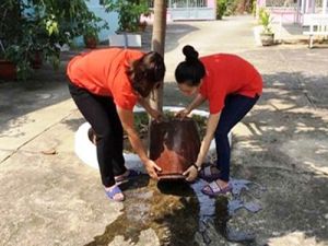 Không chủ quan, lơ là trong phòng, chống sốt xuất huyết