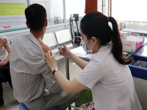 Hằng trăm người phải tiêm vắc xin ngừa dại do bị chó cắn trong dịp Tết