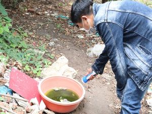 Ngày Vệ sinh yêu nước nâng cao sức khỏe nhân dân 2/7: Thực hiện tốt vệ sinh cá nhân, vệ sinh môi trường để phòng bệnh