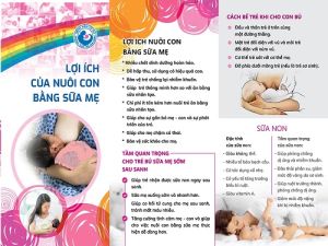 Tăng cường hỗ trợ nuôi con bằng sữa mẹ tại nơi làm việc