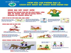 Phát hiện một ổ dại trên chó ở huyện Định Quán