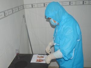Tăng cường công tác giám định pháp y