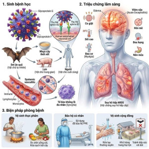 Đồng Nai chủ động dự phòng đáp ứng dịch bệnh vi rút Nipah tại các cửa khẩu