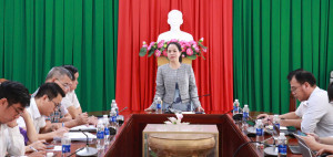 Ngành Y tế Đồng Nai bàn lộ trình xây dựng hệ sinh thái y tế...