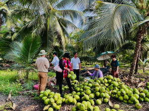 Tà Lài: Định hướng phát triển nông nghiệp hữu cơ tuần hoàn, công nghệ cao, nâng tầm sản phẩm địa phương.