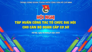 Hội nghị tập huấn công tác tổ chức Đại hội cho cán bộ Đoàn cấp cơ sở