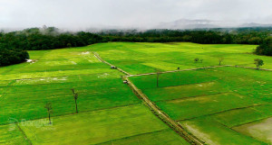 [Video_Chạm 95] Xã Tà Lài