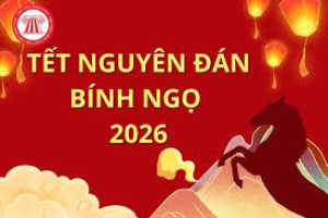 Truyền thông dự thảo Nghị quyết quy định đối tượng, mức hỗ...