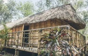 Nhà dài (Longhouse) Tà Lài – Không gian văn hóa truyền thống gắn với phát triển du lịch cộng đồng bền vững