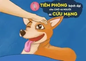 OIP