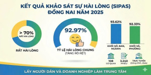 Bài viết 5
