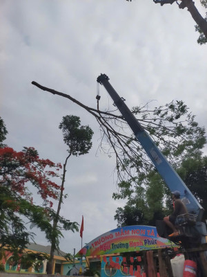 Trung tâm Dịch vụ tổng hợp xã Tà Lài tổ chức cắt tỉa cây xanh, chủ động phòng chống mưa bão năm 2026