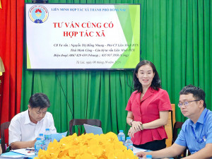 Liên minh Hợp tác xã Thành phố Đồng Nai tư vấn, củng cố và...