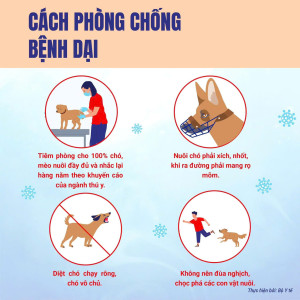 CÁCH PHÒNG CHỐNG BỆNH DẠI