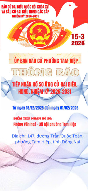 THÔNG BÁO NỘP HỒ SƠ ỨNG CỬ HĐND NK 2025 2031