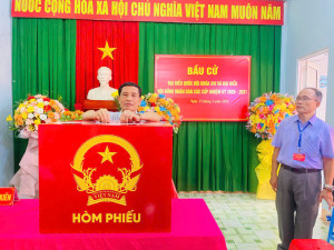 CỬ TRI ĐI BẦU