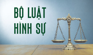 Bộ Luật Hình Sự